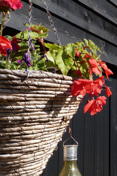 Hanging basket on exterior wall at Lackford Lakes Barns