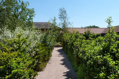 Pathway in shared courtyard garden at Lackford Lakes Barns